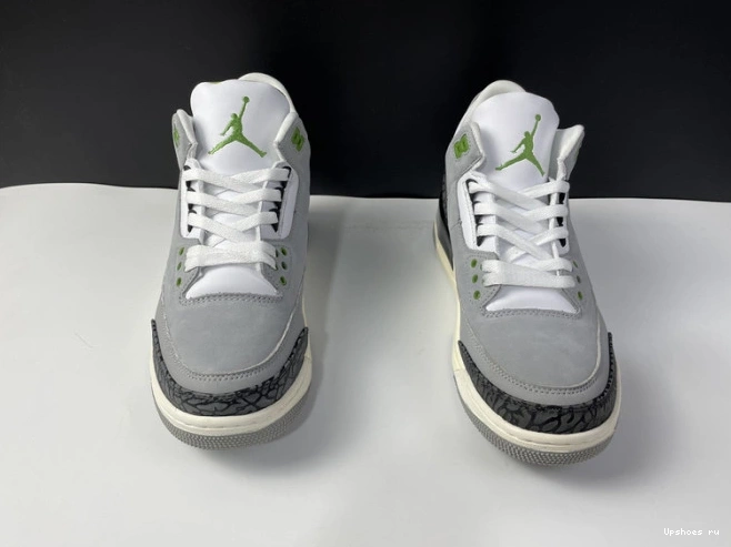 136064-006 Air Jordan Retro 3 Chlorophyll 0809